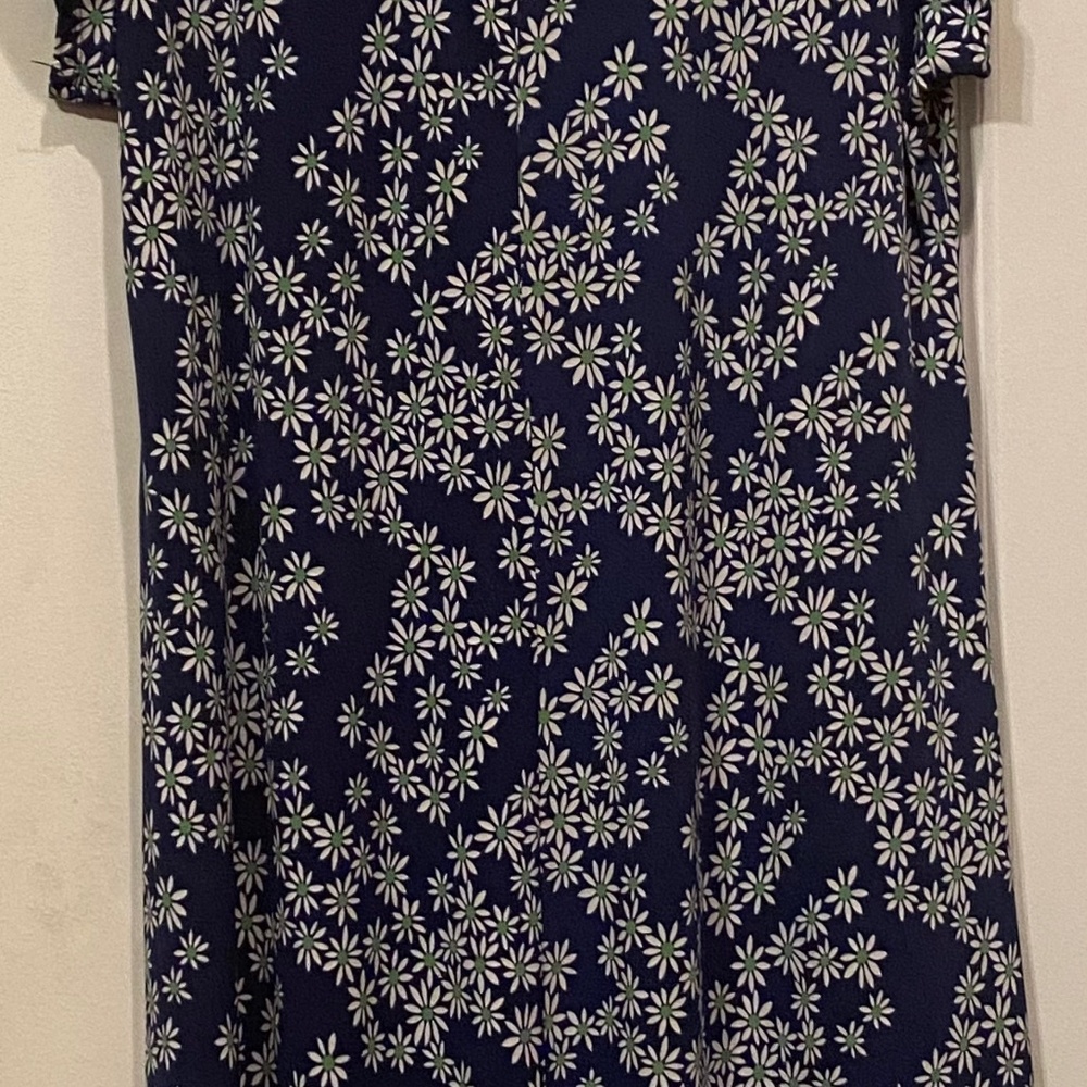 Southern Lady brand. Women’s blue floral print.Like new. $5.